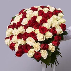 send 101 red and white roses in antalya